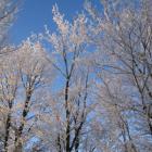 Winter im Erzgebirge