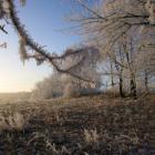 Winter im Erzgebirge