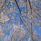 Winter im Erzgebirge